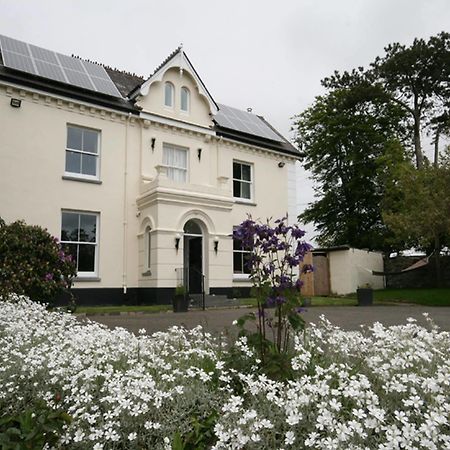 Caemorgan Mansion Otel Cardigan Dış mekan fotoğraf